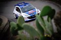 1 Peugeot 207 S2000 P.Andreucci - A.Andreussi (45)